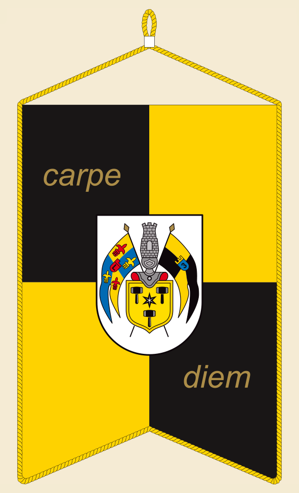 wimpel_lions_club_babenhausen_ruckseite